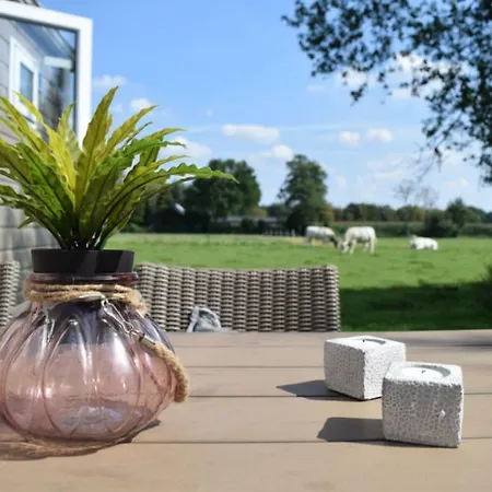 4 Pers. Veluwelodge *