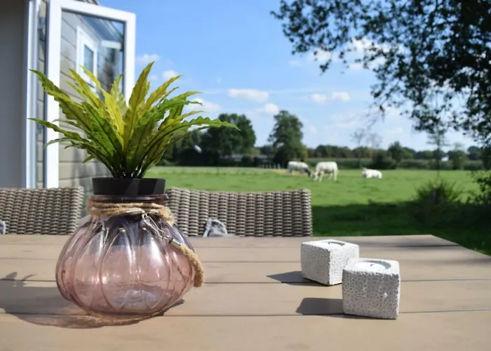 4 Pers. Veluwelodge *